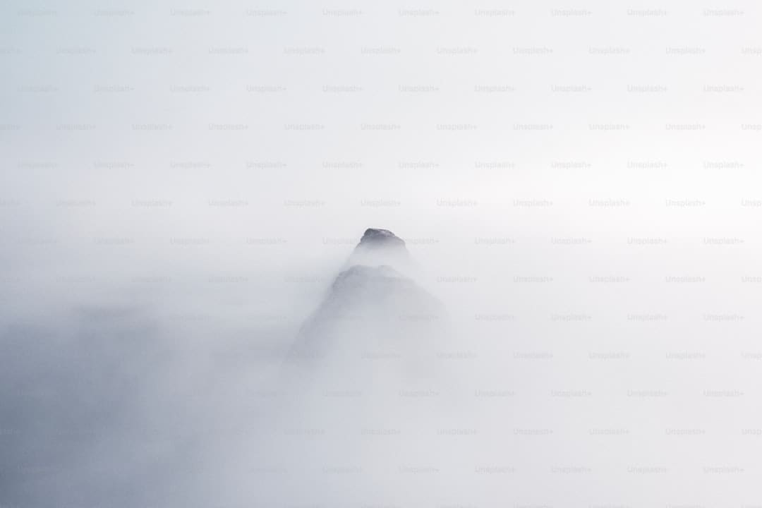 成都车展欧拉以浪漫致初心