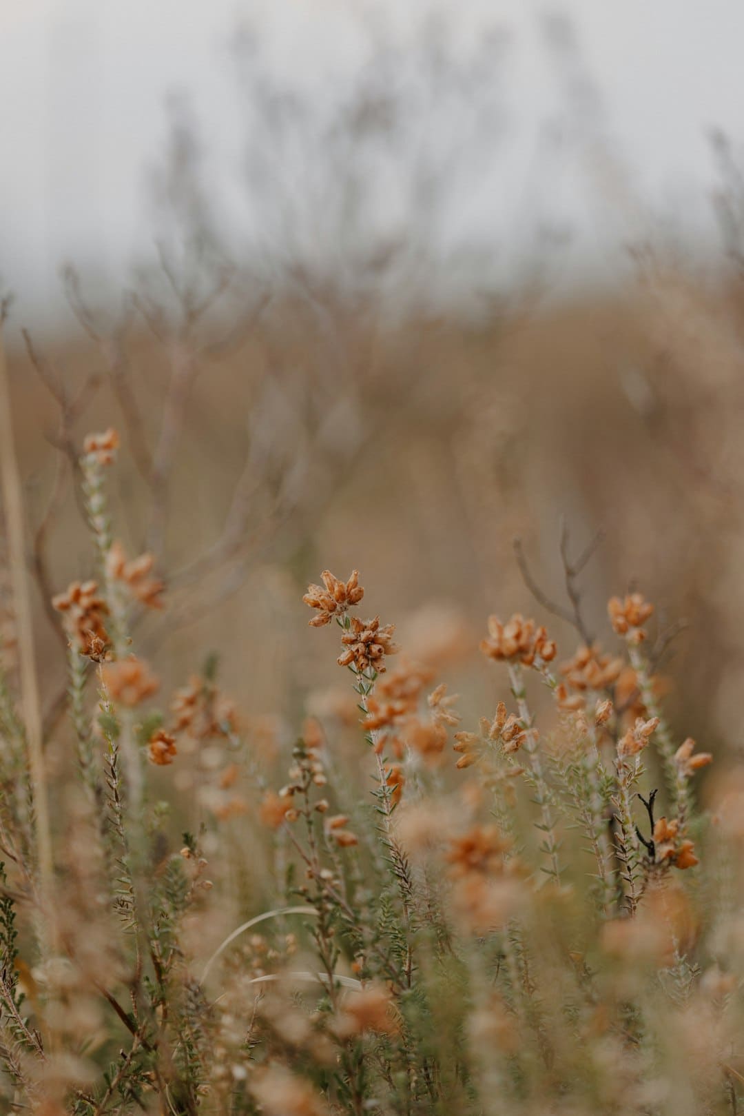 https://p1.img.cctvpic.com/photoworkspace/contentimg/2025/09/06/2025090610053811759.png